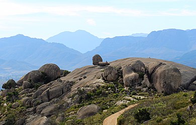 Boland Granite Fynbos can be seen on the Granite domes of Paarl mountain. Paarl Mountain00.jpg