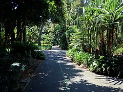 PalmGrove4.JPG