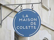 Colette: Biographie, Les enjeux de lécriture, Colette et la sexualité