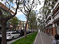 Passeig del Comte Vilardaga - El Mas Lluí - 20210502 153626.jpg