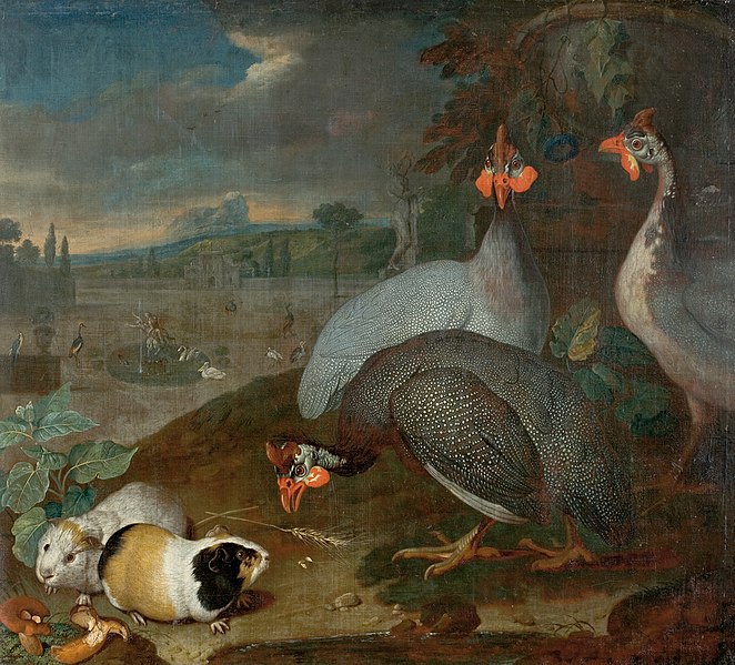 File:Philipp Ferdinand de Hamilton - Perlhühner mit Meerschweinchen - 4656 - Kunsthistorisches Museum.jpg