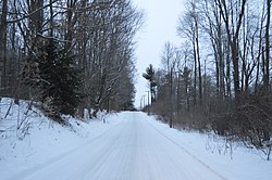 Snowy road through woodlands east of Hartstown