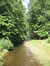 Plunketts Creek looking upstream, just north of the mouth in Plunketts Creek Township