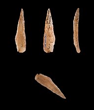 Azil aldiko hiru puntak Torassa haitzuloko aztarnategia - Tolosako museoa.