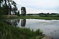 Čeština: Rybník Čepička v přírodní památce Maršovec a Čepička u Kojatína, okr. Třebíč. English: Pond Čepička in natural monument Maršovec a Čepička near Kojatín, Třebíč District.