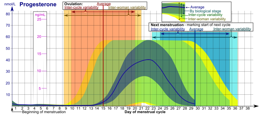 Progesterone levels during the menstrual cycle.
* The ranges denoted By biological stage may be used in closely monitored menstrual cycles in regard to other markers of its biological progression, with the time scale being compressed or stretched to how much faster or slower, respectively, the cycle progresses compared to an average cycle.
* The ranges denoted Inter-cycle variability are more appropriate to use in non-monitored cycles with only the beginning of menstruation known, but where the woman accurately knows her average cycle lengths and time of ovulation, and that they are somewhat averagely regular, with the time scale being compressed or stretched to how much a woman's average cycle length is shorter or longer, respectively, than the average of the population.
* The ranges denoted Inter-woman variability are more appropriate to use when the average cycle lengths and time of ovulation are unknown, but only the beginning of menstruation is given. Progesterone during menstrual cycle.png