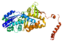 پروتئین ASS1 PDB 2nz2.png