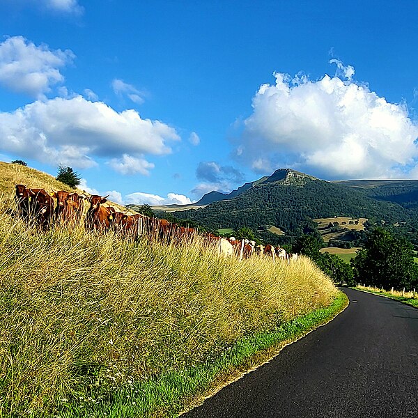 File:Puy Violent, Cantal, France - Flickr - pom'..jpg