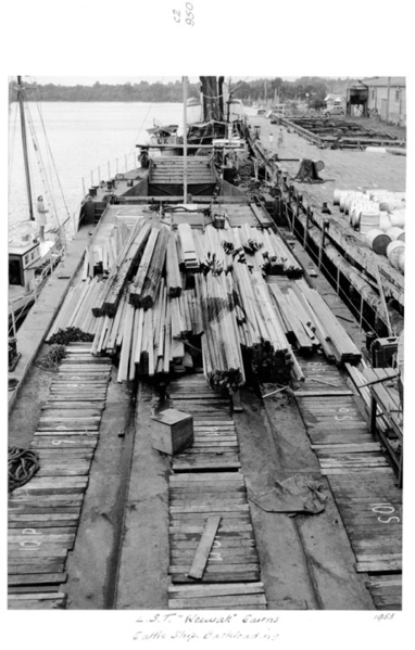 File:Queensland State Archives 4933 Cattle Transport Boat LST Weewak Cairns 1953.png