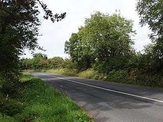 <span class="mw-page-title-main">R684 road (Ireland)</span> Road in Ireland