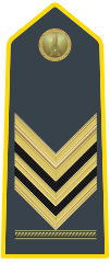Chief Brigadier special class (Sovrintendenti - Brigadiere Capo qualifica speciale) (Master Sergeant)same insignia as Chief Brigadier with star above chevron