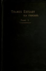 Thumbnail for File:Report on the sea fisheries and fishing industries on the Thames Estuary (IA reportonseafishe00muririch).pdf