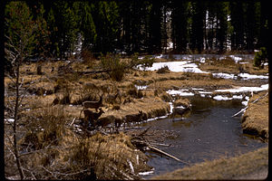 Rocky Mountain National Park ROMO9034.jpg