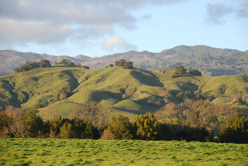 File:Rolling hills of the Napa valley.jpg