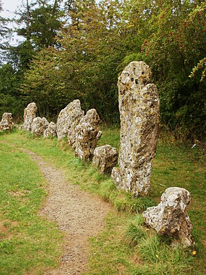 The largest stone in the King's Men, a stone circle that is the dominant part of the Rollright Stones complex in the Cotswolds.