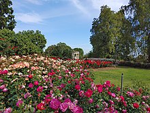 Various roses at Rose Garden at Huntington Library in San Marino, California Rose Garden at Huntington Library in Pasadena, California. April 2022 20220418 160351.jpg