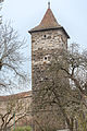 Hohennersturm, Feldseite, von Osten weitere Bilder
