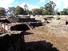 The destruction led by Decimus Junius Brutus is an archaeological evidence in Cividade de Terroso. Roman reconstruction, quadrangular buildings instead of native circular ones, is also visible. Ruinas cividade terroso.JPG