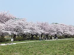 Tenshōchin puistoa