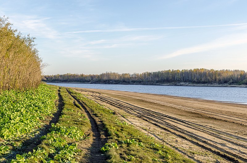 File:Sandy Bank of river Tromegan. Песчаный берег реки Тромаган. - panoramio.jpg