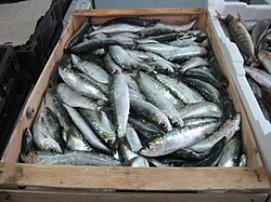 Sardinas en lata - Wikipedia, la enciclopedia libre