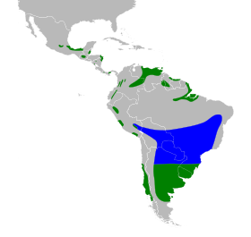 Distribución geográfica del chirigüe sabanero.