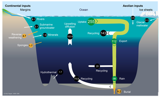 Silica cycle Biogeochemical cycle