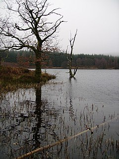 Simpson Ground Reservoir