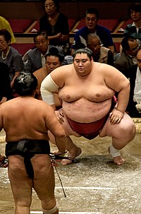 knap Kollisionskursus Kvinde List of the heaviest sumo wrestlers - Wikipedia