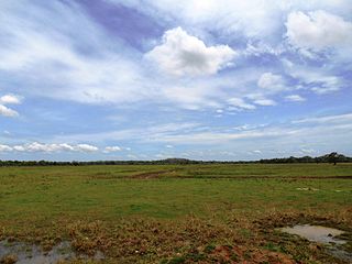 <span class="mw-page-title-main">Somawathiya National Park</span> National park in Sri Lanka