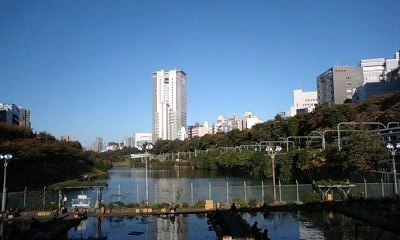 Hosei University's Boissonade Tower (in the distance, slightly left of center), seen alongside sotobori (the remains of the outer moat of Edo castle) 