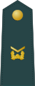 Южная Корея-Армия-OR-5.svg