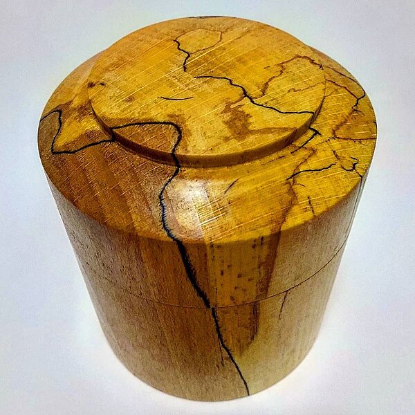 File:Spalted beech round box 1.jpg