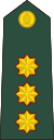 Sri Lanka-army-OF-2.svg