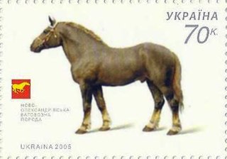 Novoolexandrian Draught Ukrainian breed of draught horse