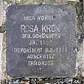 image=https://commons.wikimedia.org/wiki/File:Stolperstein_Kronprinzendamm_11_(Halsee)_Rosa_Kron.jpg