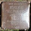 Stolperstein Lehmweg 57 (Wilhelmine Rosenbaum) in Hamburg-Hoheluft-Ost.JPG