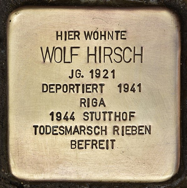 File:Stolperstein für Wolf Hirsch (Kiel).jpg