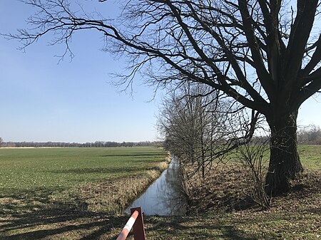 Stutereigraben Blick nach Osten