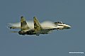 Su-35 (7906838604).jpg