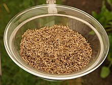 Beet pulp in dried flake form. Sugar beet cossettes.jpg