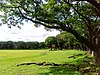 Sunken Garden, U.P. Diliman, Quezon City (1).jpg