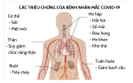 Thumbnail for File:Symptoms of coronavirus disease 2019 in Vietnamese.svg