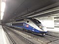 TGV a l'estació de Sants - 20181226 125921.jpg