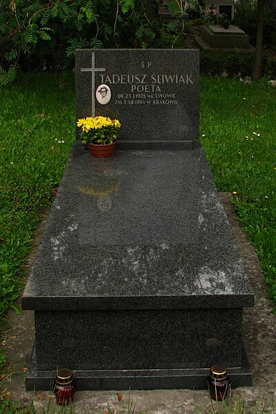 File:Tadeusz Sliwiak grave.jpg