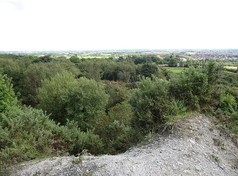 File:Tailings by the South Engine House - geograph.org.uk - 5525251.jpg