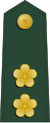 Taiwan-armeija-OF-4.svg