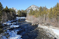 Tenmile Creek.JPG