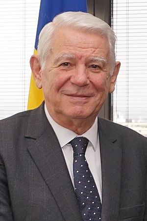 Teodor Meleșcanu: Biografie, Activitate politică, Activitate științifică