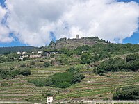 Terraced fields in Valtellina Terrazzamenti in Valtelina.JPG